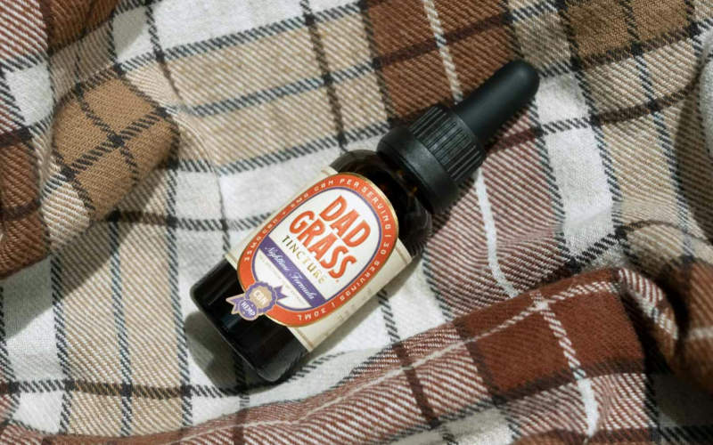 7 Herbal Tinctures You Can Make at Home That Rival Expensive Health Store Supplements