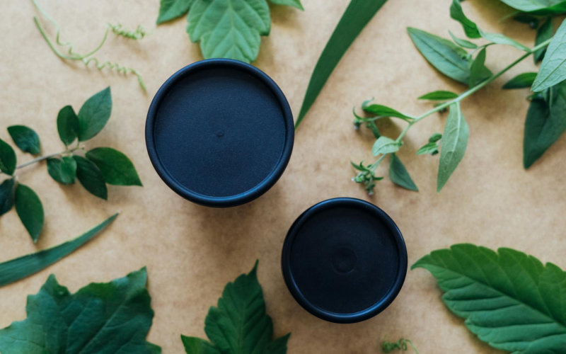 The Complete Beginner's Guide to Growing a Medicinal Herb Garden in Small Containers on Any Balcony