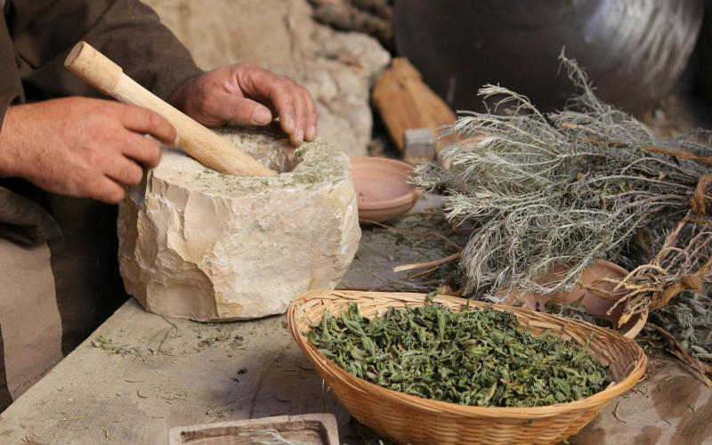 5 Forgotten Medicinal Herbs Your Grandmother Used That Modern Herbalists Are Finally Rediscovering