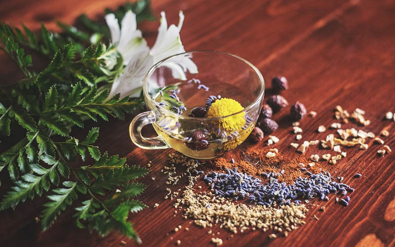 7 Homemade Remedies for Canker Sores That Speed Up Healing and Reduce Pain Immediately