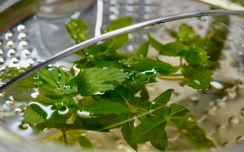 How to Brew a Homemade Fire Cider Tonic for a Powerful Immune System Boost This Winter