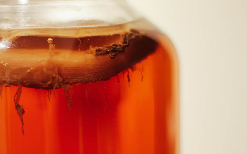 The Complete Beginner's Guide to Making Fermented Kombucha at Home for Gut Health