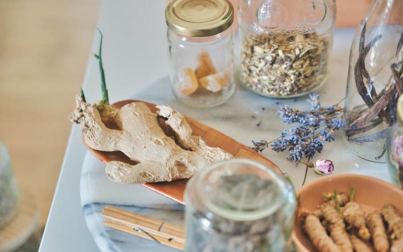 The Complete Guide to Building a Home Apothecary with 15 Essential Herbs for Everyday Healing