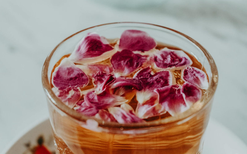 Cold Infusion vs Heat Infusion: Which Method Actually Preserves More Plant Nutrients