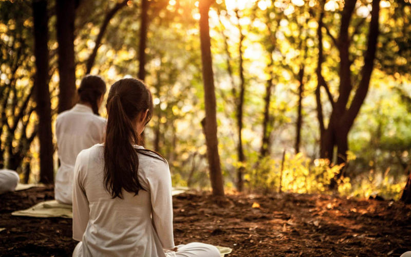 Forest Bathing vs Meditation: Which One Produces Stronger Measurable Stress Reduction After 20 Minutes