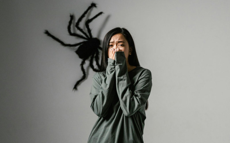 How the Vagus Nerve Controls Your Anxiety Response and 5 Evidence-Based Ways to Stimulate It Daily
