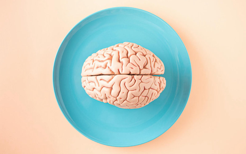 The Precise Micronutrient Deficiencies That Cause Brain Fog in Adults Over 35 and How to Test for Them